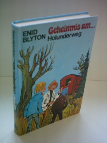 Stock image for Geheimnis am. Holunderweg for sale by ThriftBooks-Dallas