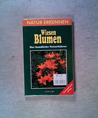 Stock image for Wiesenblumen for sale by Martin Preu / Akademische Buchhandlung Woetzel