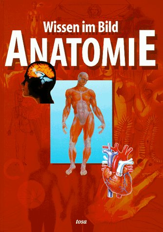 Anatomie. Wissen im Bild - E. G. de Bernabe