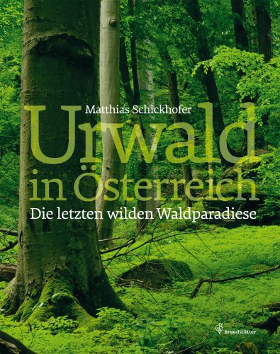 Urwald - Österreichs letzte wilde Waldparadiese - Matthias Schickhofer