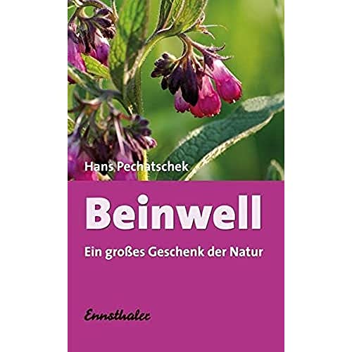 Beinwell - Das große Geschenk der Natur