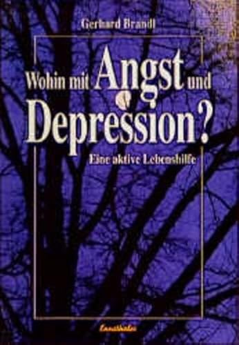 Beispielbild fr Auswege aus Angst und Depression. Eine aktive Lebenshilfe zum Verkauf von medimops