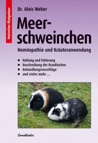 Stock image for Meerschweinchen: Homopathie und Kruteranwendung for sale by medimops