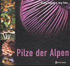 9783850931267: Pilze der Alpen