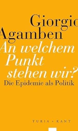 9783851329964: An welchem Punkt stehen wir?: Die Epidemie als Politik