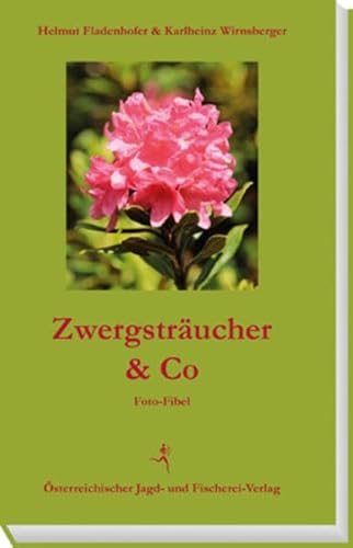 Stock image for Zwergstrucher & Co for sale by Antiquariat Walter Nowak