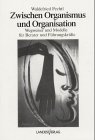 Zwischen Organismus und Organisation - Waldefried Pechtl