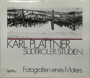 9783852180670: Südtiroler Studien: Fotografien eines Malers (German Edition)