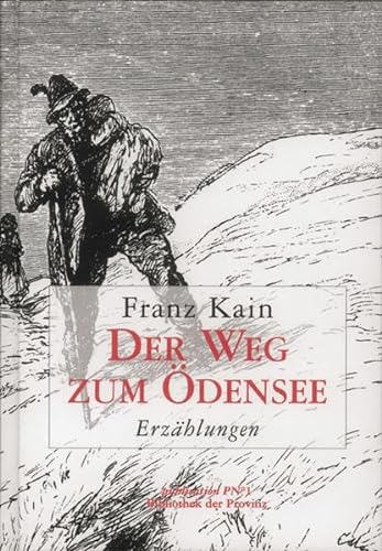 Der Weg zum Ödensee: Erzählungen - Kain, Franz und Klaus Amann