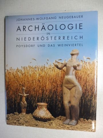 Archäologie in Niederösterreich. Poysdorf und das Weinviertel - Neugebauer, Johannes-Wolfgang