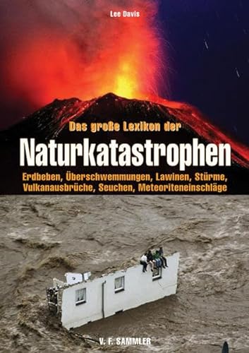 9783853651995: Das groe Lexikon der Naturkatastrophen.