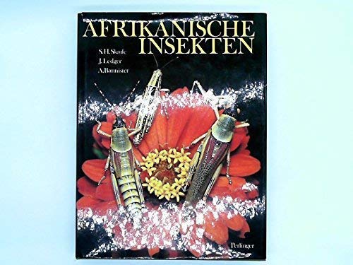 Afrikanische Insekten.