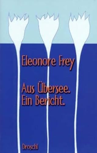 9783854205562: Aus bersee: Ein Bericht