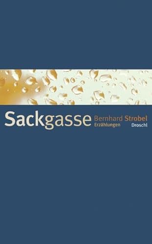 Stock image for Sackgasse. Erzhlungen for sale by medimops
