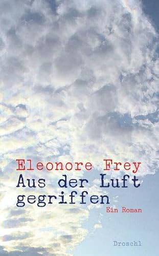 Aus der Luft gegriffen : Ein Roman - Eleonore Frey