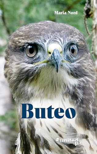 Beispielbild fr Buteo zum Verkauf von medimops