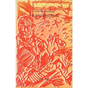 Im Bilderstreit: VortraÌˆge und AufsaÌˆtze zur zeitgenoÌˆssischen Kunst (German Edition) (9783854490555) by Gachnang, Johannes