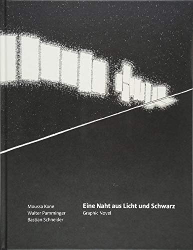 Imagen de archivo de Eine Naht aus Licht und Schwarz: Graphic Novel a la venta por medimops