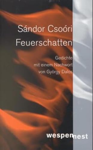 9783854585213: Csoori, S: Feuerschatten