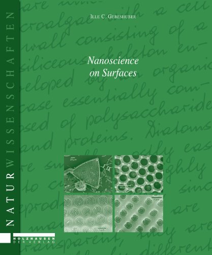 Stock image for Nanoscience on Surfaces: Rastersondenmikroskopie und Kieselalgentribologie for sale by medimops