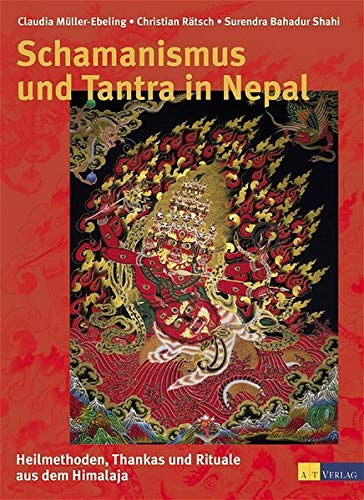 Beispielbild fr Schamanismus und Tantra in Nepal zum Verkauf von medimops