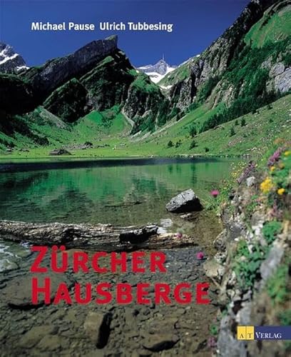 9783855027187: zurcher_hausberge