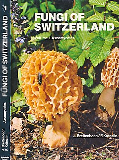 Beispielbild fr Fungi of Switzerland: Ascomycetes Breitenbach, J. and Kraenzlin, F. zum Verkauf von online-buch-de