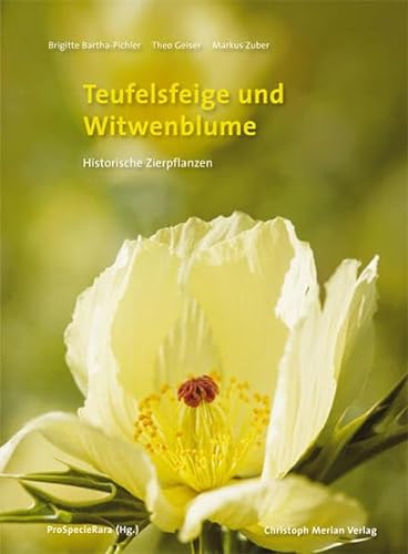 9783856163518: Teufelsfeige und Witwenblume: Historischen Zierpflanzen
