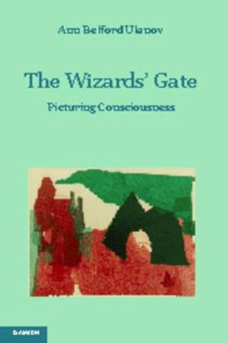 9783856305390: Wizard's Gate: Picturing Consciousness