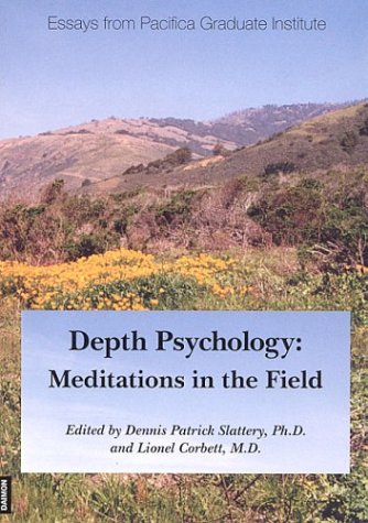 9783856305970: Depth Psychology: Meditations in the Field