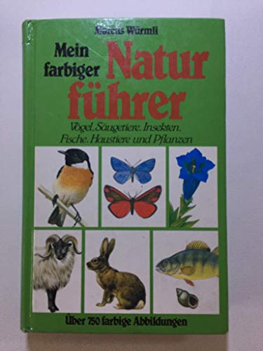 Beispielbild fr Mein farbiger Naturfhrer: Vgel, Sugetiere, Fische, Haustiere und Pflanzen zum Verkauf von Studibuch