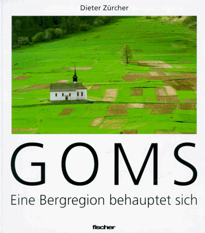 Goms. Eine Bergregion behauptet sich by Zürcher, Dieter