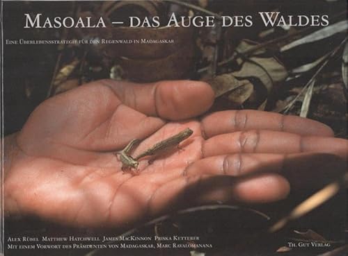 Masoala - Das Auge des Waldes. Eine Überlebensstrategie für den Regenwald in Madagaskar - Rübel, Alex / Hatchwell, Matthew / MacKinnon, James