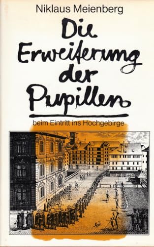 9783857910289: Die Erweiterung der Pupillen beim Eintritt ins Hochgebirge: Poesie 1966-1981 (Livre en allemand)