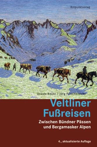 Beispielbild für Veltliner Fussreisen: Zwischen Bünder Pässen und Bergamsaker Alpen zum Verkauf von medimops