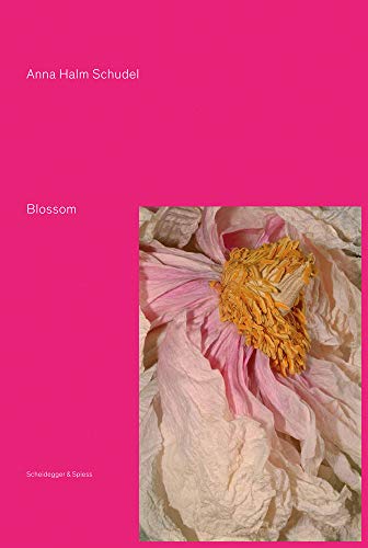 9783858816214: Blossom: Blumenstcke