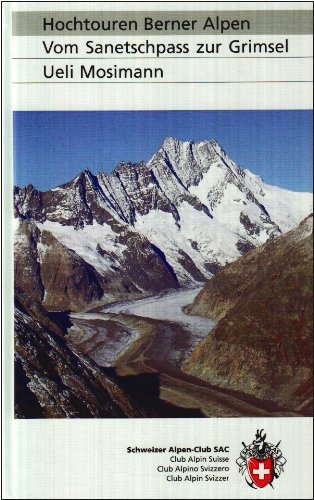 Stock image for SAC Hochtouren Berner Alpen: Vom Sanetschpass zur Grimsel for sale by suspiratio - online bcherstube