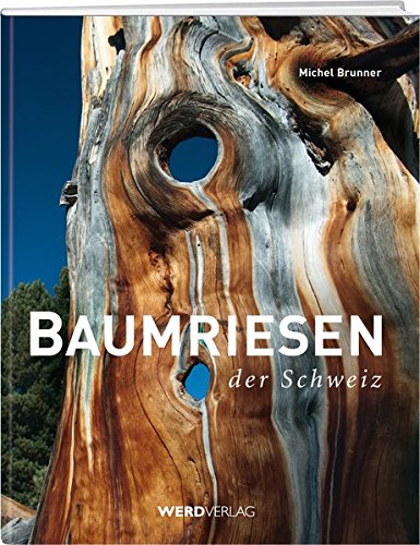 Baumriesen der Schweiz - Brunner, Michel, Michel Brunner und Andre Hübscher