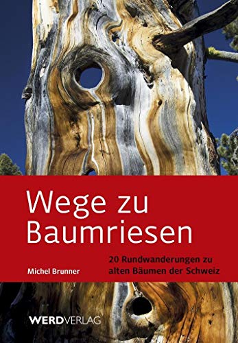 Wege Zu Baumriesen: 20 Wanderungen Zu Alten Bäumen Der Schweiz - Brunner, Michel; Brunner, Michel