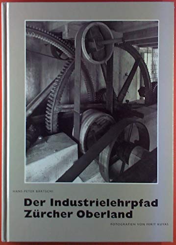 Stock image for Der Industrielehrpfad Zrcher Oberland for sale by Wm Burgett Bks and Collectibles