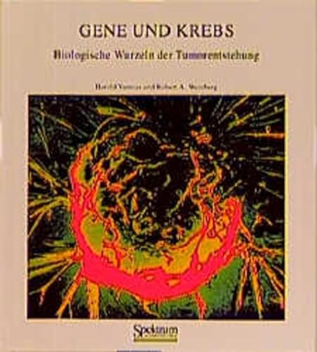 Stock image for Gene und Krebs. Biologische Wurzeln der Tumorentstehung. A. d. Engl. ber. v. Sebastian Vogel. for sale by Bojara & Bojara-Kellinghaus OHG