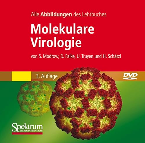 Stock image for Molekulare Virologie for sale by medimops
