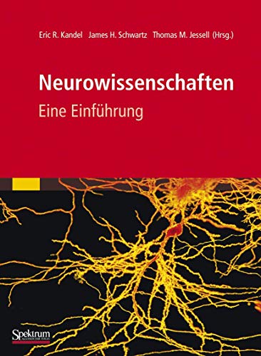 Neurowissenschaften Eine Einführung - Kandel, Eric, James Schwartz und Thomas Jessell