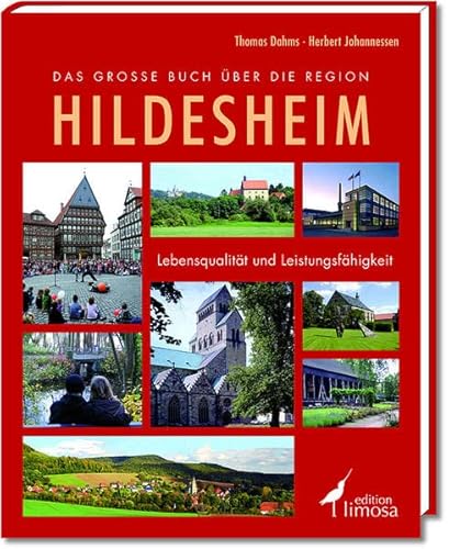 Beispielbild fr Das groe Buch ber die Region Hildesheim: Lebensqualitt und Leistungsfhigkeit zum Verkauf von medimops