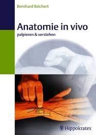 Stock image for Anatomie in vivo. Palpieren & verstehen - Bernhard Reichert for sale by Fachbuch-Versandhandel