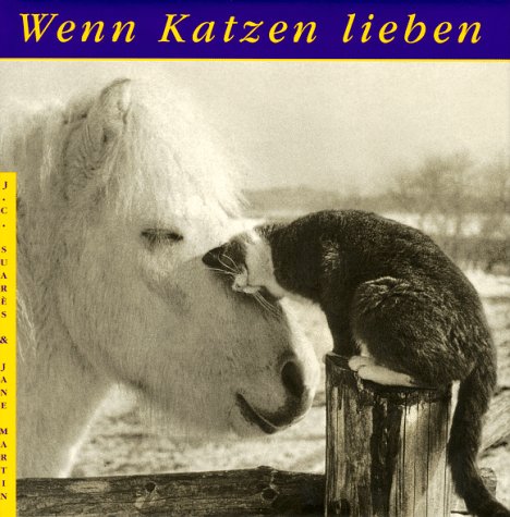Imagen de archivo de Wenn Katzen lieben a la venta por WorldofBooks
