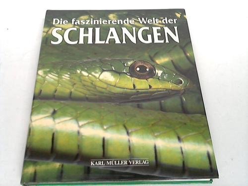 Stock image for Die faszinierende Welt der Schlangen for sale by medimops