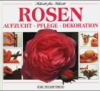 Rosen - Aufzucht - Pflege - Dekoration ( Schritt für Schritt )