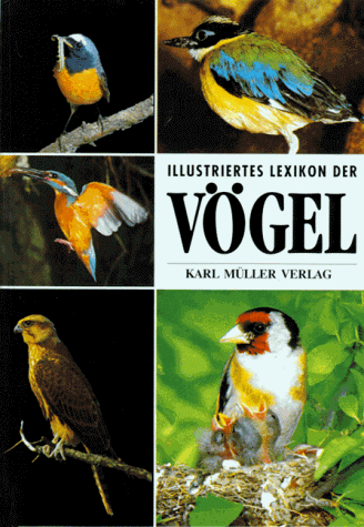 Stock image for Illustriertes Lexikon der Vgel for sale by medimops