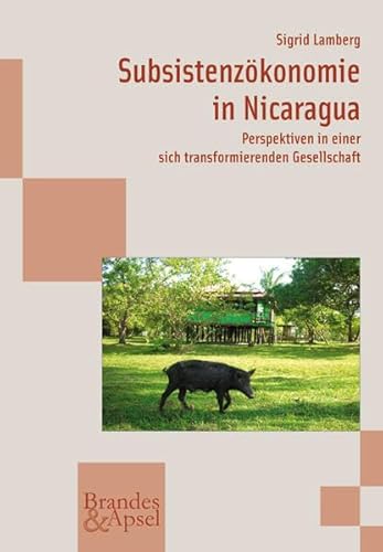 Imagen de archivo de Subsistenzkonomie in Nicaragua: Perspektiven in einer sich transformierenden Gesellschaft (wissen & praxis) a la venta por medimops